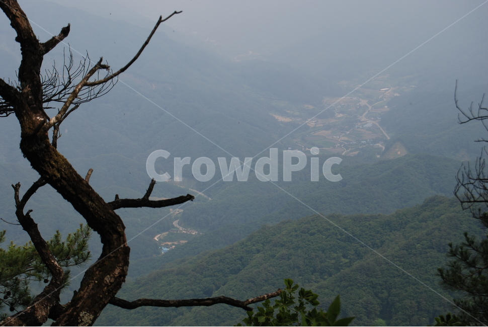 마대산,봄,자연휴양림,야생,공원,자연,풍경,nature,landscape,한국자연풍경,한국자연경관,korea nature landscape,outdoors,옥외,mountain range,산맥,mountain,산