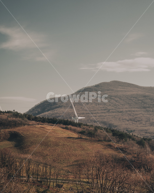 countryside,hill,대관령,삼양목장,풍경,강원도,흐린날,nature,자연,outdoors,감성,빛,자연,풍경,nature,landscape,한국자연풍경,한국자연경관,korea nature landscape