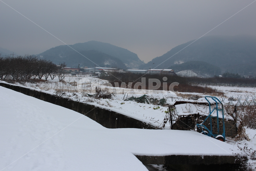 눈,겨울,겨울풍경,겨울아침,계절,풍경,분위기,색감,landscape,winter,snow,snowing