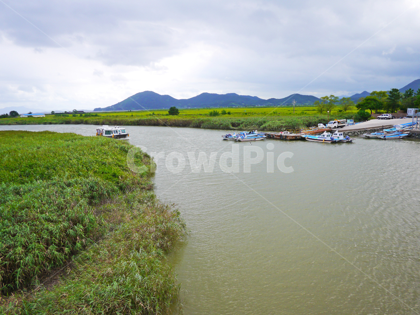 순천,순천만,초록,자연,풍경,자연,풍경,nature,landscape,land,땅,outdoors,옥외,water,물,sea,바다,ocean,대양,shoreline,해안선
