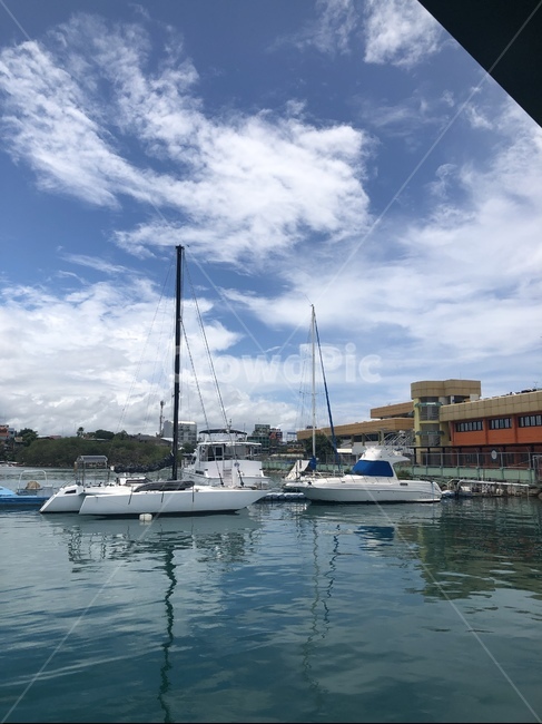 water,물,선박,바다,세부,마리나,보트,boat,pier,보홀바다