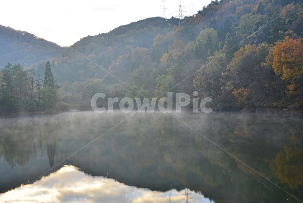 nature,자연,outdoors,옥외,mountain,산,mountainrange,산맥,plant,식물,tree,나무,전나무,fir,weather,날씨,화순,세량지,화순세량지,세량제,세량지가을,여명,아침,물안개,가을,만추,추색,water,물