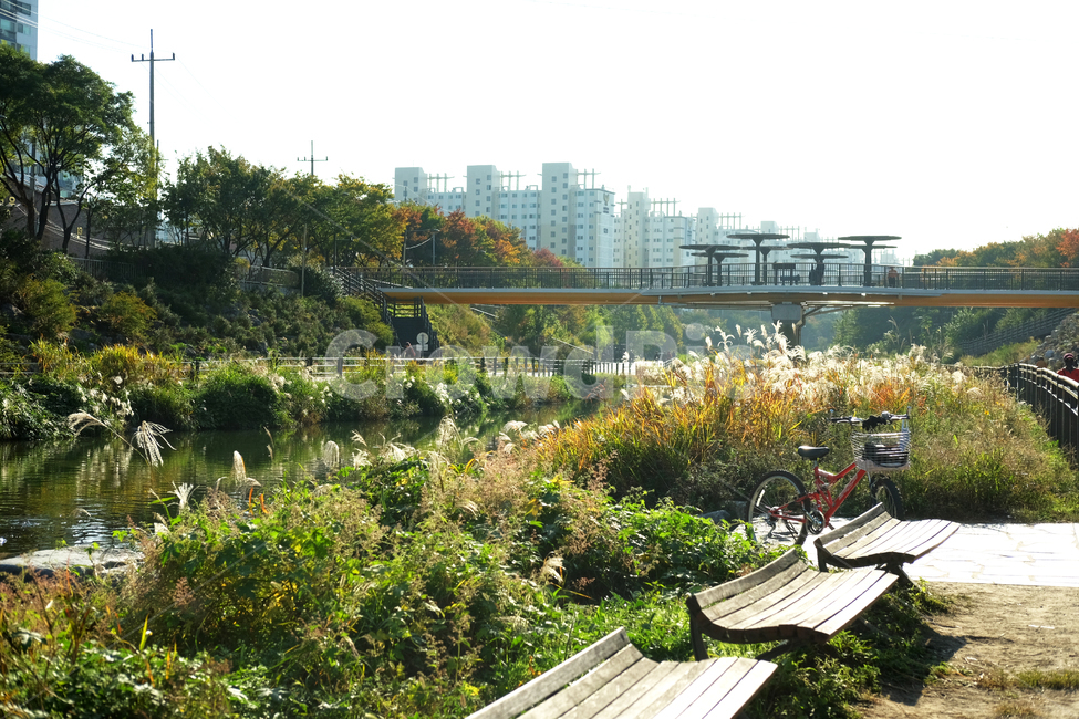 bicycle,자전거,하천,산책로,다리,산책,자연,야외