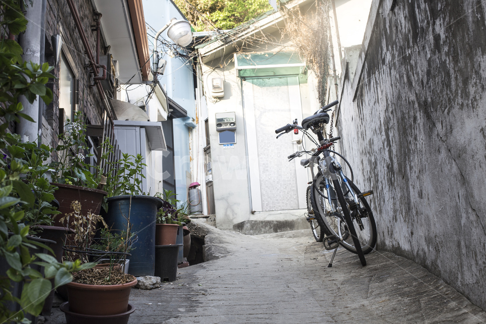 골목,골목길,길,동네,좁은길,집,주택,거리,마을,주택가,벽,화분,골목길,alley,bicycle,자전거,bike,vehicle,차량,transportation,교통,machine,기계,wheel,바퀴