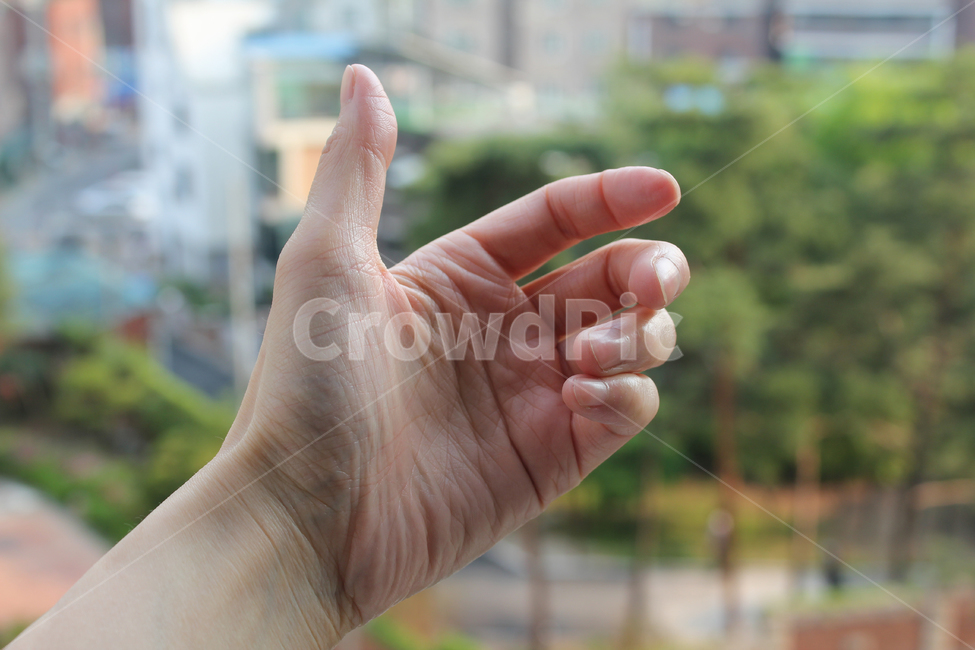 손,핸드,여자,여자손,성인,어른,사람,인체,신체,신체부위,부위,손가락,팔목,잡기,손바닥,손,제스처,표시,손짓,표현,gesture,hand,sign,expression