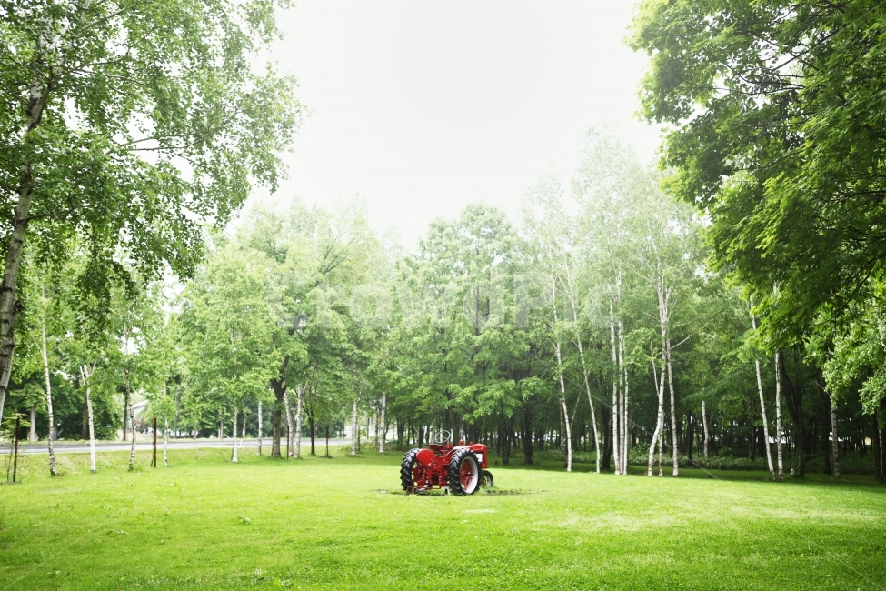 초록,공원,트랙터,비에이,일본,자연,풍경,nature,landscape,산업,industry,industrial,농업,농사,agriculture,farming,farming industry,grass,잔디,plant,식물,lawn