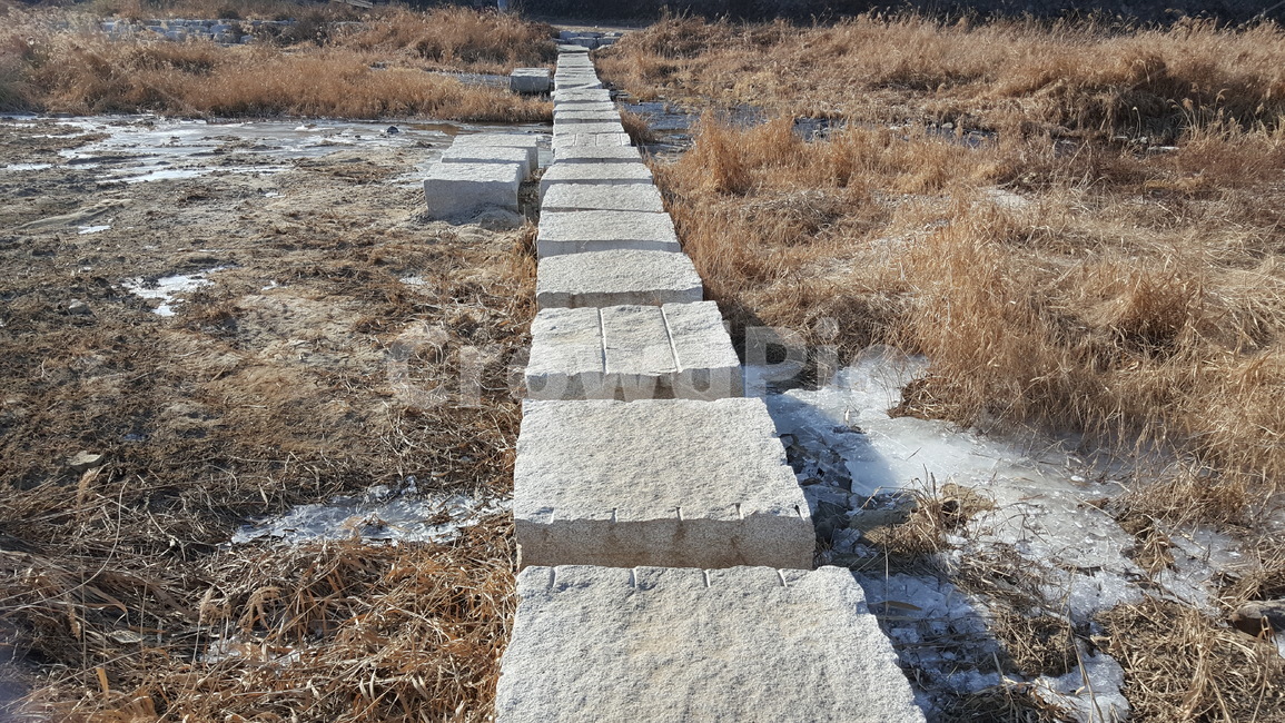 겨울,산책로,풍경,자연,감성,느낌,추위,물,얼음,겨울,계절,winter,season,자연,풍경,nature,landscape,path,통로,ground,바닥