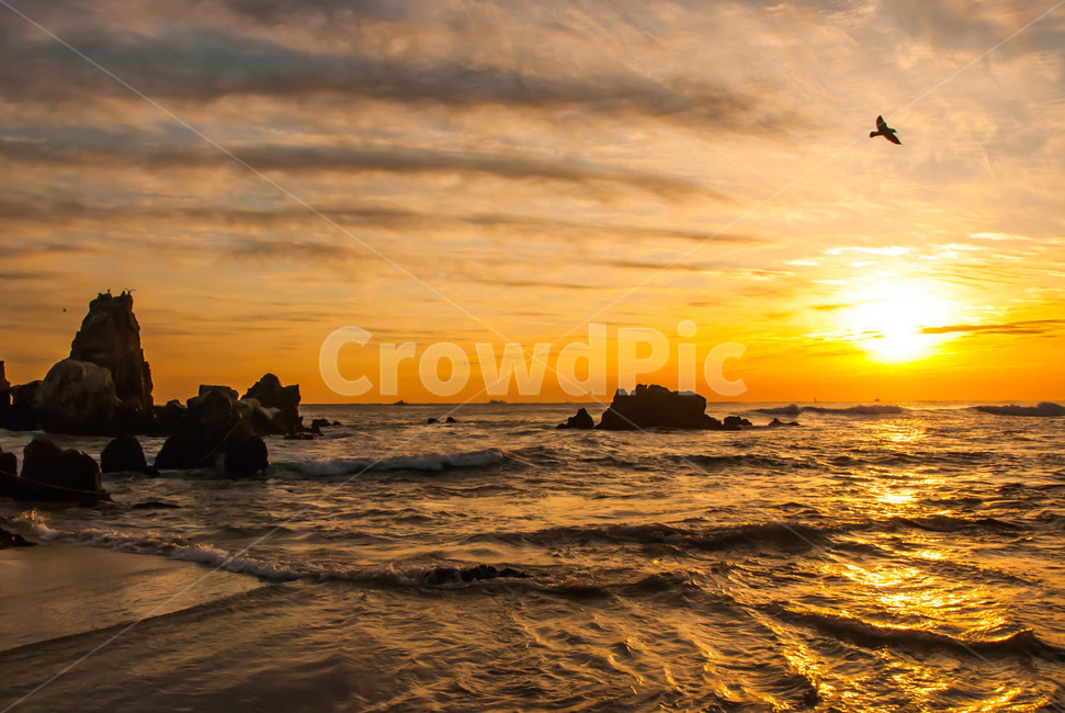 새해,일출,해돋이,동해바다,바닷가,여명,동틀무렵,해맞이,해변,물결,동해,태양,자연,풍경,nature,landscape,한국자연풍경,한국자연경관,korea nature landscape,outdoors,옥외,dawn,새벽,sunset,일몰,red sky,붉은 하늘,sky,하늘,dusk,황혼