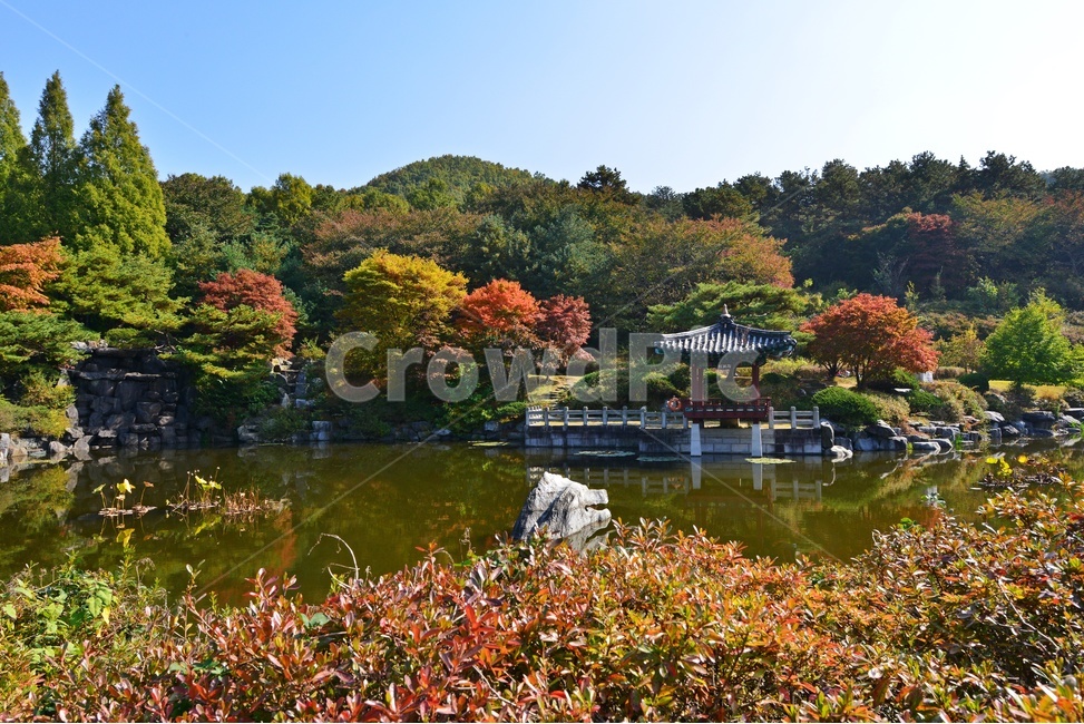 nature,자연,outdoors,옥외,architecture,건축물,water,물,plant,식물,tree,나무,현충원,국립현충원,국립,현충지,추색,가을,계절,만추,단풍,단풍잎,반영,정자,경치,경관,풍경