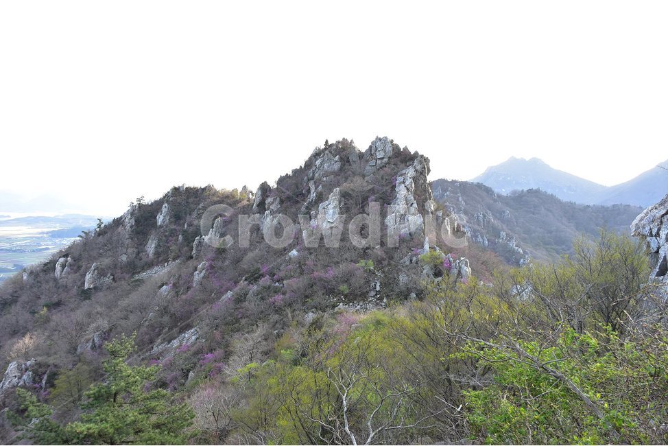 주작산,덕룡산,종주,진달래,풍경,기암,바위,비경,봄풍경,진달래꽃,강진,명산,산행,등산,마운틴,힐링,mountain,landscape,자연,natural,자연,풍경,nature,landscape,한국자연풍경,한국자연경관,korea nature landscape,outdoors,옥외,cliff,낭떠러지