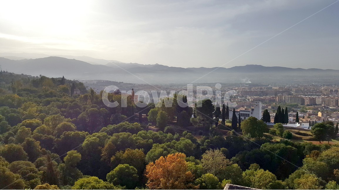 숲,나무,맑은날,구름,안개,도시,풍경,city,landscape,해외,외국,세계,foreign,oversea,world,세계도시풍경,해외도시풍경,외국도시풍경,world cityscape,nature,자연,scenery,outdoors,옥외,경치