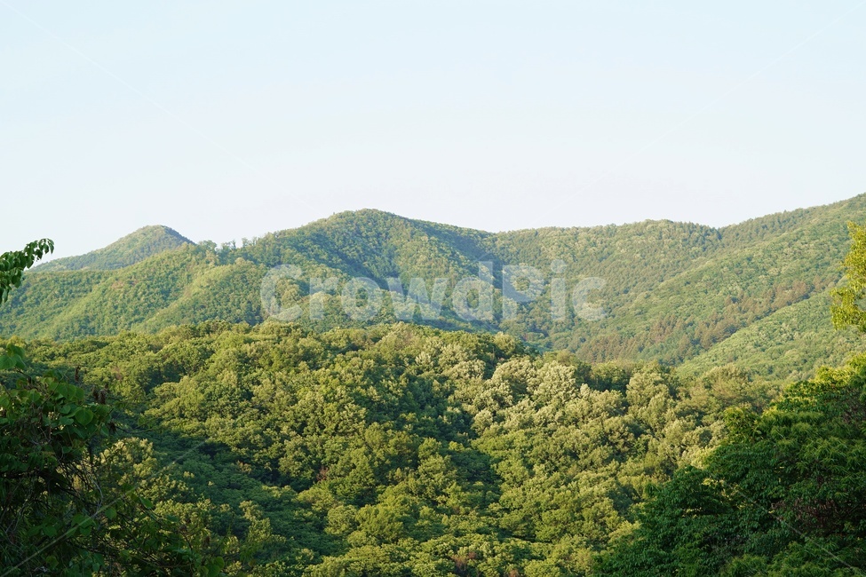 산,풍경,경치,봄,나무,자연,풍경,nature,landscape,outdoors,옥외,hill,언덕