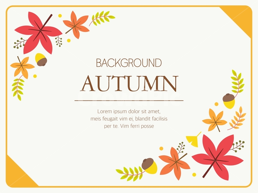 단풍,낙엽,일러스트,배경,백그라운드,팝업,배너,카드,가을,계절,fall,autumn,season,그래픽,일러스트레이션,graphic,illustration