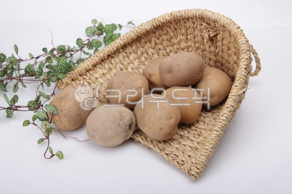 감자,요리재료,수미감자,황토감자,음식재료,삶은감자,통감자,싱싱한,뿌리열매,채소,야채,음식,food,fresh,vegetables,plant,식물,음식,식재료,요리,food,cook,meal,dishes,food reserves