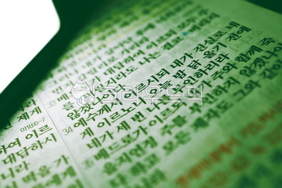 text,성경,성경책,bible,성경구절,본문,텍스트,word,단어,book,책,베드로,세번,부인,빛