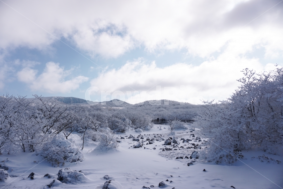 눈,산,겨울,자연,하늘,겨울,계절,winter,season,자연,풍경,nature,landscape,outdoors,옥외,plant,식물,tree,나무