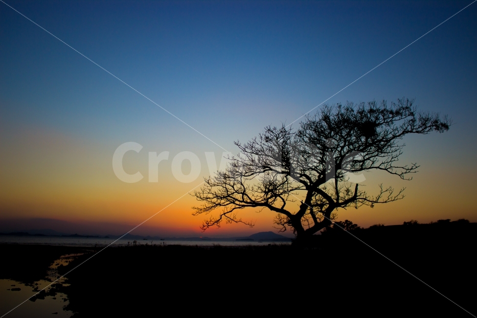 하늘,일몰,무지개,색깔,여행,밤,나무,실루엣,스펙트럼,매직아워,풍경,landscape,sky,sunset,rainbow,color,travel,blue,night,tree,beautiful,silhouette,magic,colorful,korea,spectrum,magichour,자연,풍경,nature,landscape,outdoors,옥외,plant,식물