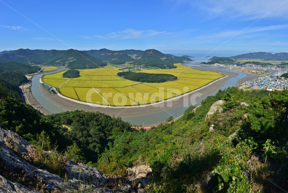대덕산물돌이,한시랑들판,법성포물돌이,한시랑들판가을,landscape,경치,nature,자연,outdoors,옥외,scenery,풍경,aerialview,조감도,농업,농사,agriculture,farming,farming industry