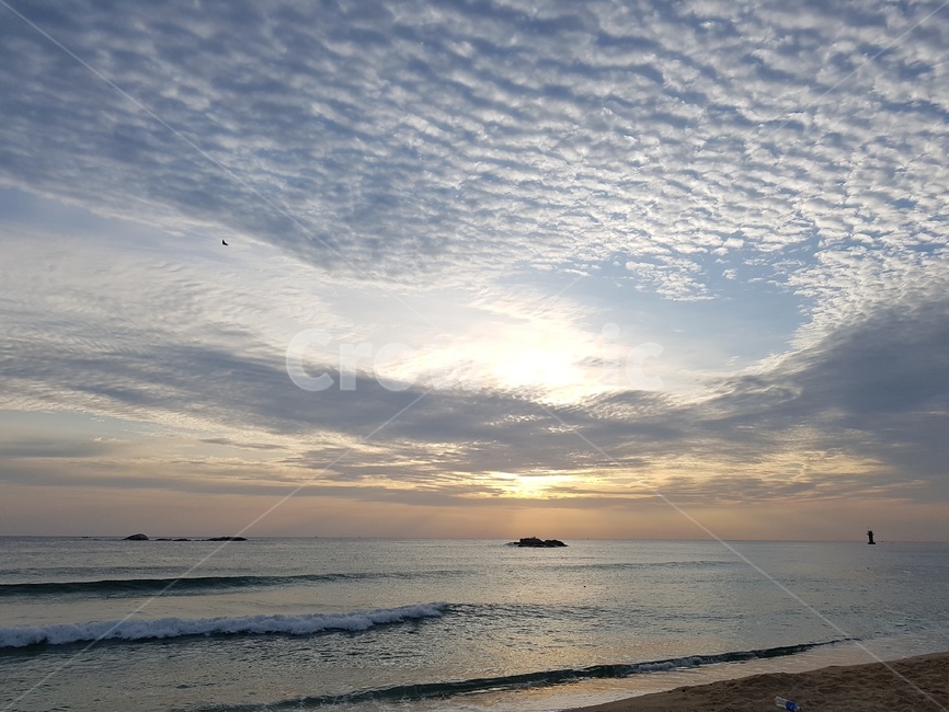 nature,자연,해돋이,동해,바닷가,해변,일출,자연,풍경,nature,landscape