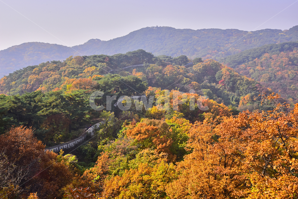가을,가을배경,남한산성,세계문화유산,한국자연경관,둘레길,성곽길,배경,바탕,백그라운드,단풍숲,성벽,계절,시즌,season,outdoor,옥외,야외,식물,plant,flowers,autumn,fall,background,maple,tree,형형색색,오색의,찬란한,칼라풀,colorful,산,산맥,봉우리,능선,mountain,forest,가을풍경,mountainrange,돌담,단풍산,가을산,한국전통,힐링,healing,가을,계절,fall,autumn,season,자연,풍경,nature,landscape,한국자연풍경,한국자연경관,korea nature landscape,outdoors,mountain range