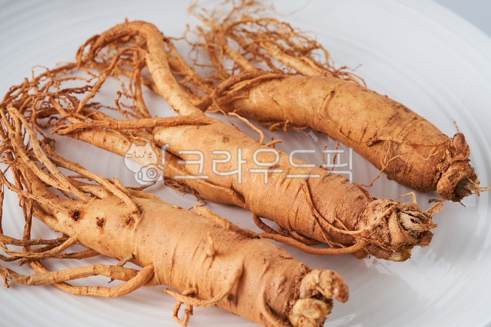 Hanppuri,Ginseng 6 years old,5 year old ginseng root,root,Fresh ginseng,Geumsan Ginseng,Ginseng