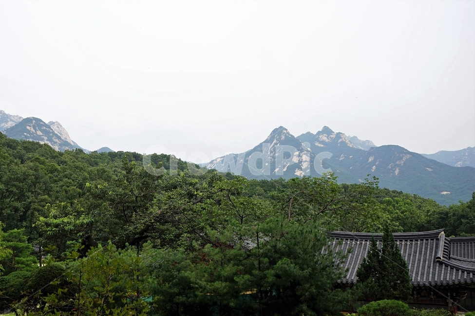 사찰,자연,나무,숲,산,북한산,한국전통건축,기와,비구니,도량,종교,불교,기와지붕,전통건축,기와집,지붕,전통,한옥,패턴,배경,전통적인,한국의,construction,한국전통,한국문화,koreantraditional,koreanculture,건축물,건물외관,exterior,building,structure,architecture,한국전통,한국문화,korean traditional,korean culture