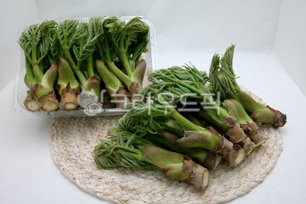 두릅,두룹,참나무두릅,참나무새순,새순,요리,간식,제철음식,나무순,두릅나무,나물,봄,초록,채소