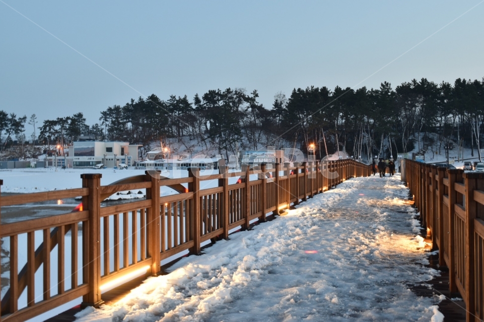 바다,다리,눈,빛,자연,nature,plant,bridge,snow,winter,sea,전라남도,함평,광주근교,여행,travel,가족여행,가족,trip,겨울,계절,winter,season