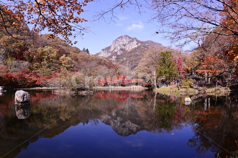 장성,백양사,백양사가을,백양사추색,연못,반영,백암산,자연,경치,풍경,plant,식물,가을,계절,fall,autumn,season,한국자연풍경,한국자연경관,korea nature landscape