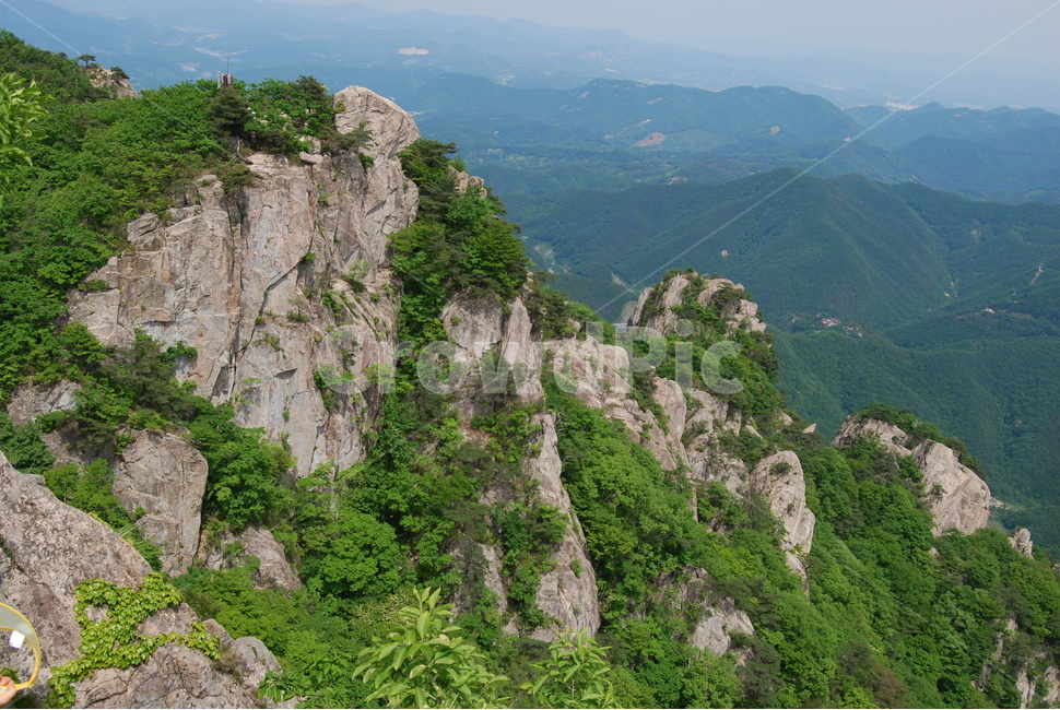 tree,mountain,nature,spring,산,자연,풍경,nature,landscape,한국자연풍경,한국자연경관,korea nature landscape,outdoors,옥외,cliff,낭떠러지