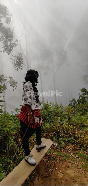 자연,풍경,nature,fog,날씨,안개,사람,people