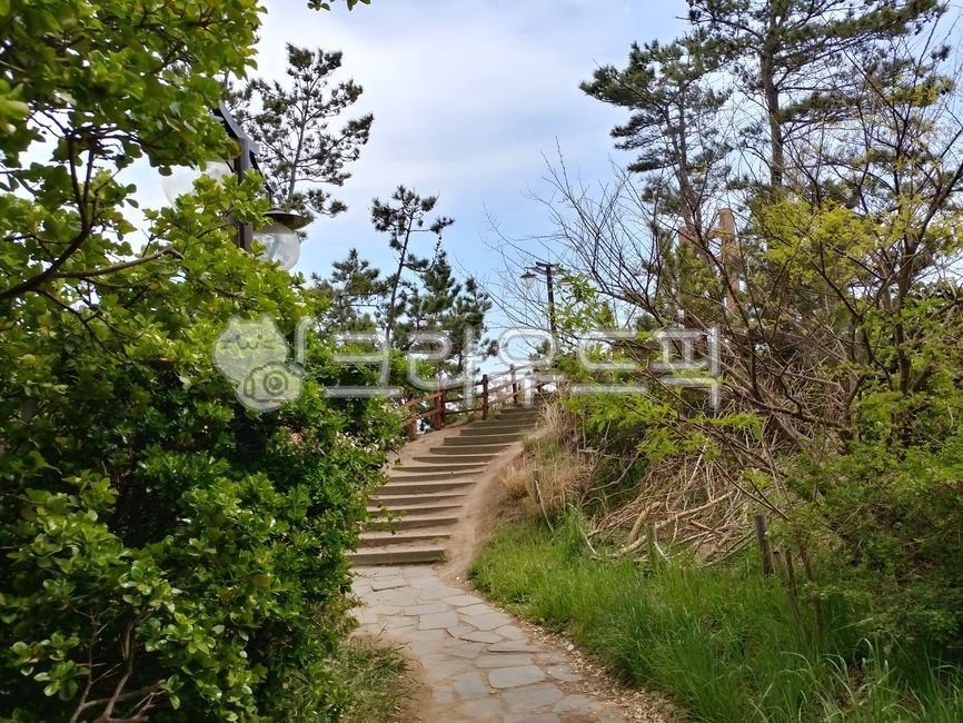 uphill road,sky,road,nature,stairs,walking path,park,walk,Street lamp