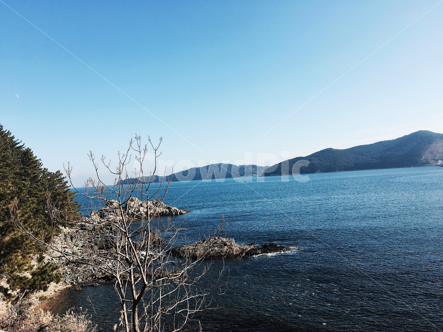 바다,거제바다,산,나무,sea,거제도