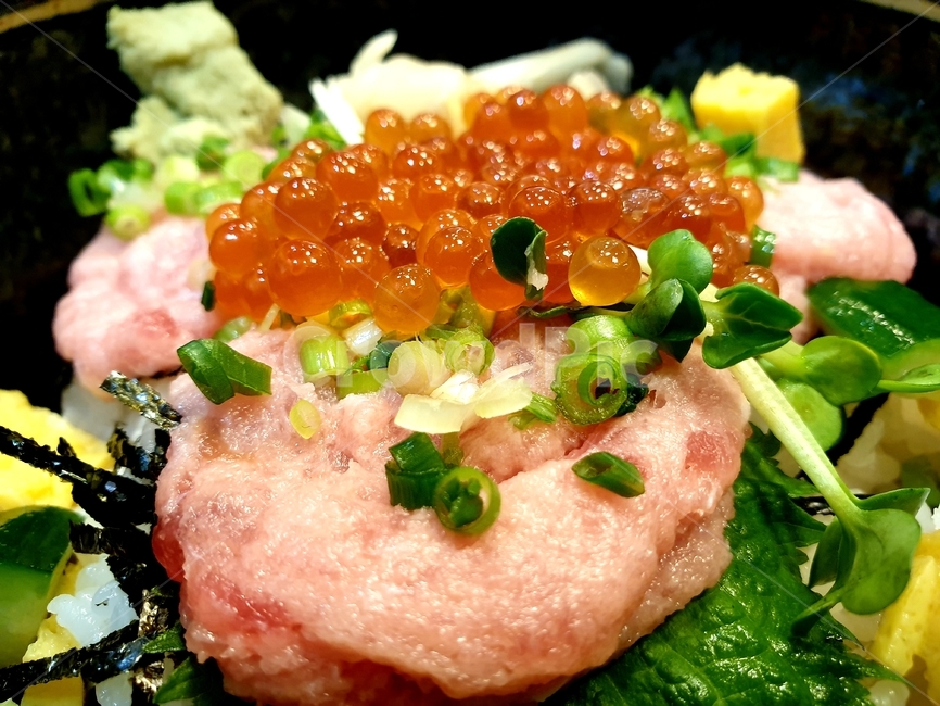 해산물덮밥,점심,해산물,일식,카이센동,참치회덮밥,연어알덮밥,일본요리,음식,food,japanesefood,lunch,음식,식재료,요리,food,cook,meal,dishes,food reserves,일식,일본음식,일본요리,Japanese food,Japanese dishes,Japanese meal,Japanese cook