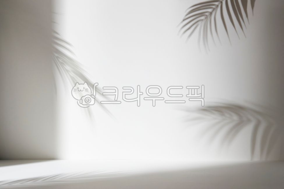 stilllife,shadow,simple,Modern,empty,beautiful,botanical,white,backdrop,natural light,light,background,plant,glow,frame,concept,pattern,bright,blur,sun,summer,interior,minimal,gray,modern,composition,design,art,wallpaper,nature,texture,nopeople,copyspace,