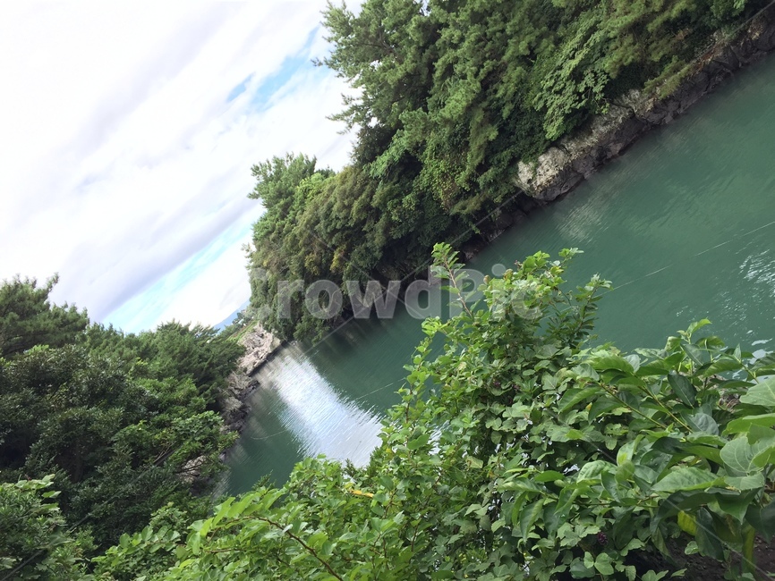제주도,바다,호수,쇠소깍,자연,숲,자연,풍경,nature,landscape,vegetation,초목,plant,식물,outdoors,옥외,rainforest,열대 우림,land,땅,tree,나무,water,물