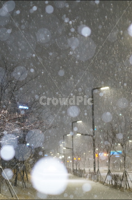 눈,야경,보케,밤,겨울,풍경,겨울,계절,winter,season,야경,밤,풍경,nightscape,night,landscape,도시,city,한국도시풍경,한국도시경관,korea cityscape,nature,자연,outdoors,옥외,snow
