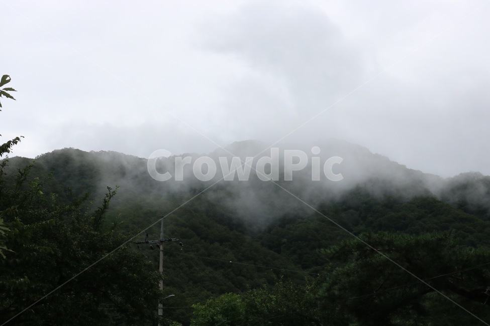 산,나무,안개,자연,풍경,mountain,tree,fog,nature,scenery,yama,ki,kiri,자연,풍경,nature,landscape,weather,날씨,outdoors,옥외