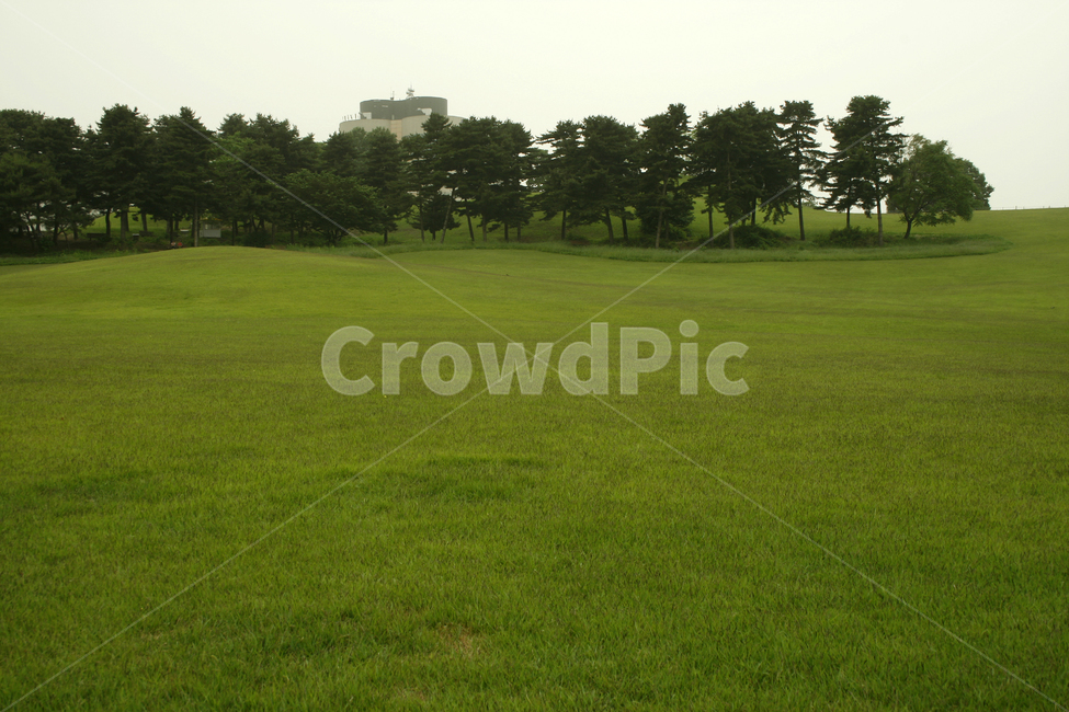 나무,쉼,힐링,여유,공원,식물,plants,nature,잔디,자연,풍경,nature,landscape,plant,grass,field,들
