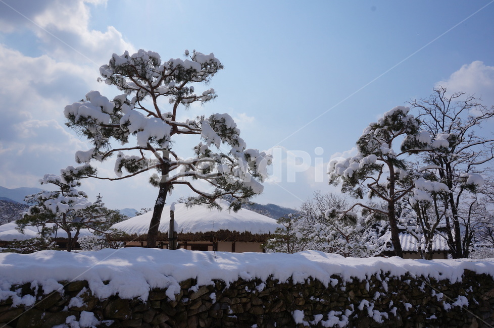 눈,겨울,풍경,외암리민속마을,고택,구름,자연,nature,outdoors,옥외,snow