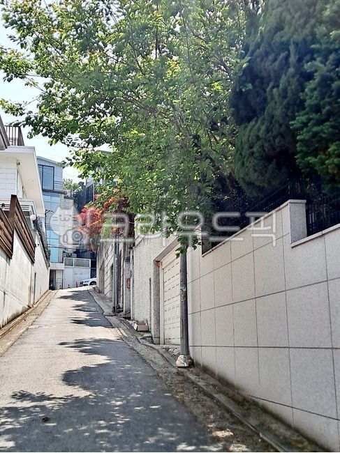 residential area,distance,city,facade,house,space,White space,path,white wall,white,road,street,Emotion,alley,close,sky,green,town,tree,walkway,House,garden,fence,wall