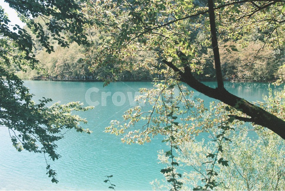 water,물,nature,자연,outdoors,옥외,풍경