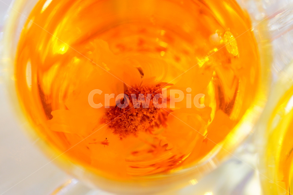 차,꽃차,카페,티,음료,힐링,식물,tea