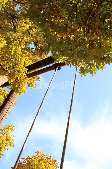 가을,그네,풍경,나무,단풍,가을하늘,하늘,가을,계절,fall,autumn,season,tree,plant,식물