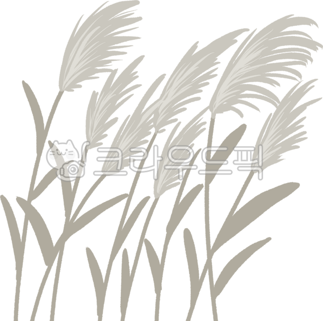 갈대, 갈대밭, 가을, 풍경, 자연, 사진,이미지,일러스트,캘리그라피 - 최아치작가