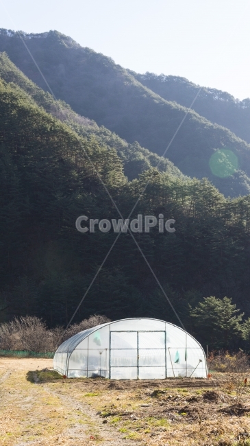 비닐하우스,시골,농사,아침,산,시골,마을,풍경,landscape,country,rural,town,산업,industry,industrial,농업,농사,agriculture,farming,farming industry