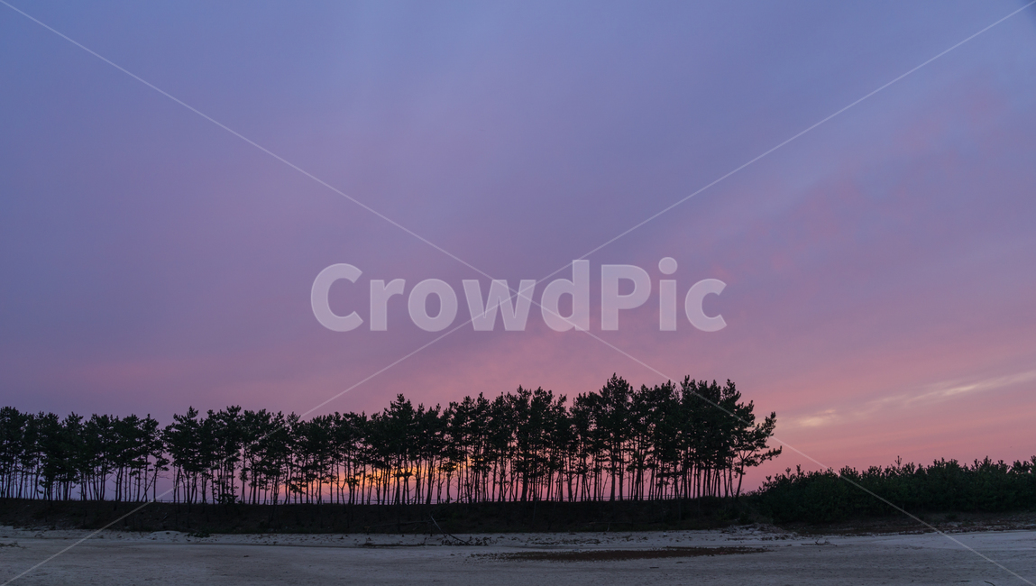 운여해변,솥밭,일몰,해변일몰,소나무,풍경,landscpae,nature,sunset,바다풍경,감성,노을,해질녘,서해안,자연,풍경,nature,landscape