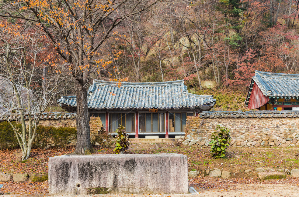 법주사,고찰,사찰,전통담,기와,석조물,담벼락,가을,계절,fall,autumn,season,한국전통,한국문화,korean traditional,korean culture,nature,자연,outdoors,옥외,building,건물,rural,농촌