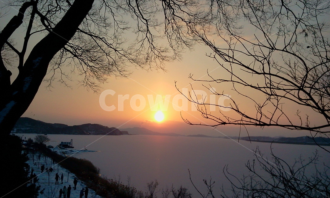 웅포,덕양정,일몰,해넘이,자연,마른나무,nature,outdoors,옥외