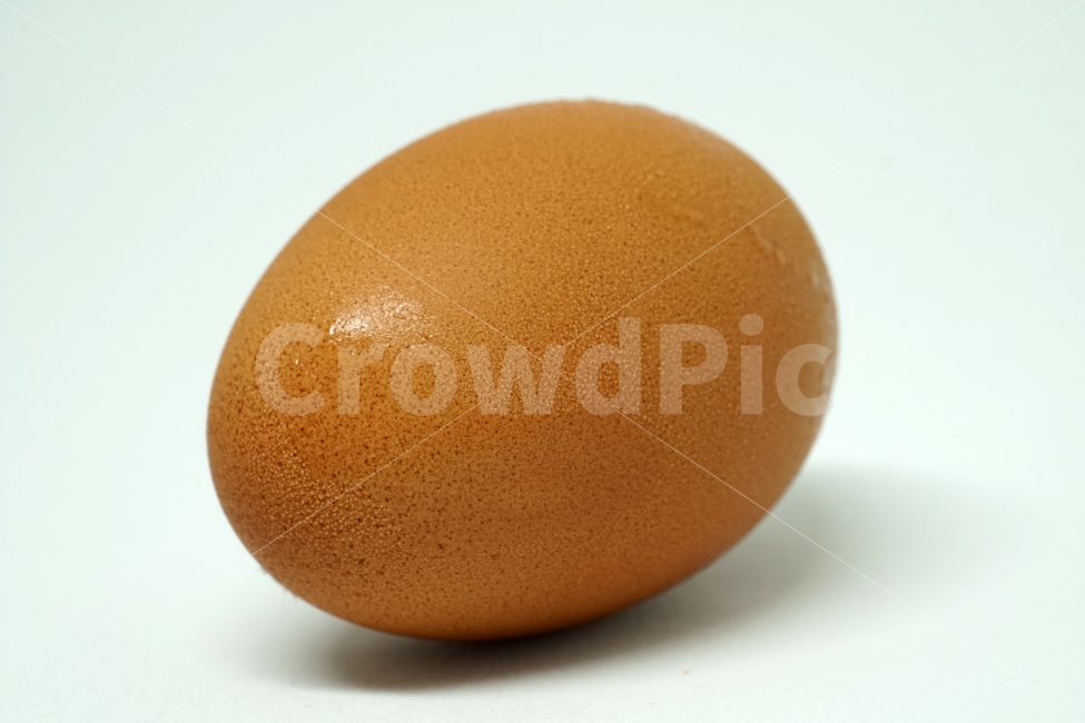 누끼,사물,계란,주방,음식,식재료,요리,달걀,소품,누끼사진,오브젝트,object,컨셉,콘셉,concept,제품,에그,egg,recipe,레시피,주방용품,부엌,부엌용품,동물성,cook,식품,식료품,음식,식재료,요리,food,cook,meal,dishes,food reserves,누끼,remove background